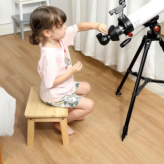 HOUCHICS Wooden Step Stool for Kids,Solid Birch for Kitchen Bedroom Living Room Bathroom Toilet Nursery Toddlers Potty Training Stool with Non-Slip Pads and 220lb Load Capacity (Wooden