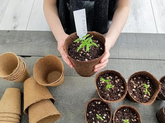 Daniel's Plants 4" Naked Pots | Large Natural Plantable Seed Starter Pots | OMRI-Listed Biodegradable for Seedlings | Enhanced Aeration | Earth Friendly - Peat Free | 10 Pack 4 Inch Round