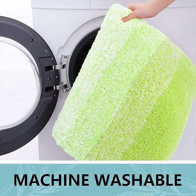 Arotive Microfiber Bathroom Rugs, Shaggy Soft and Absorbent Bath Rug, Non-Slip, Thick Plush Machine Washable Dry Bath Mats for Bathroom, Tub and Shower, 24x16, Light Green