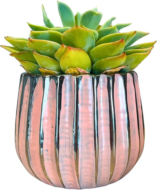 Admired By Nature 4" Ceramic Flower Planter, Ceramic Pot Planter, Indoor Ceramic Bowl, Houseplant Ceramic Pot, Decorative Planter for Indoor Plant Succulent Plant Home Décor, Lightweight, Pink