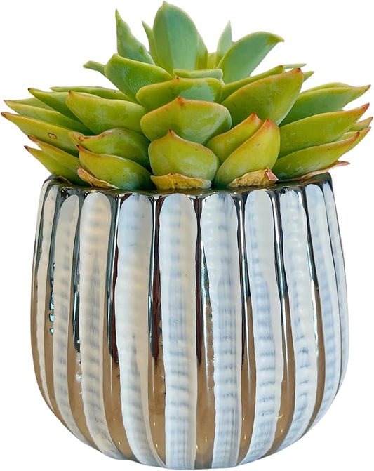 Admired By Nature 4" Ceramic Flower Planter, Ceramic Pot Planter, Indoor Ceramic Bowl, Houseplant Ceramic Pot, Decorative Planter for Indoor Plant Succulent Plant Home Décor, Lightweight, White