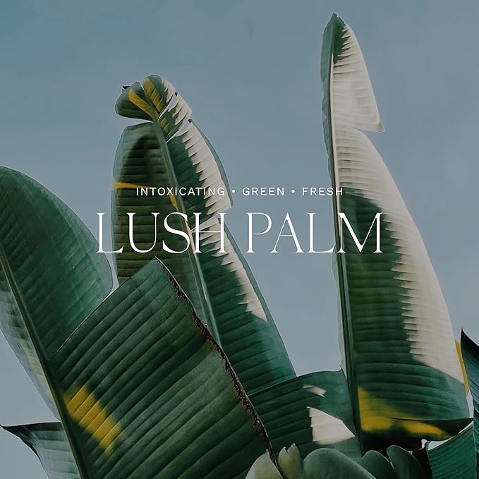 Antica Farmacista Home Ambiance Diffuser, Lush Palm 8.45 Fl Oz