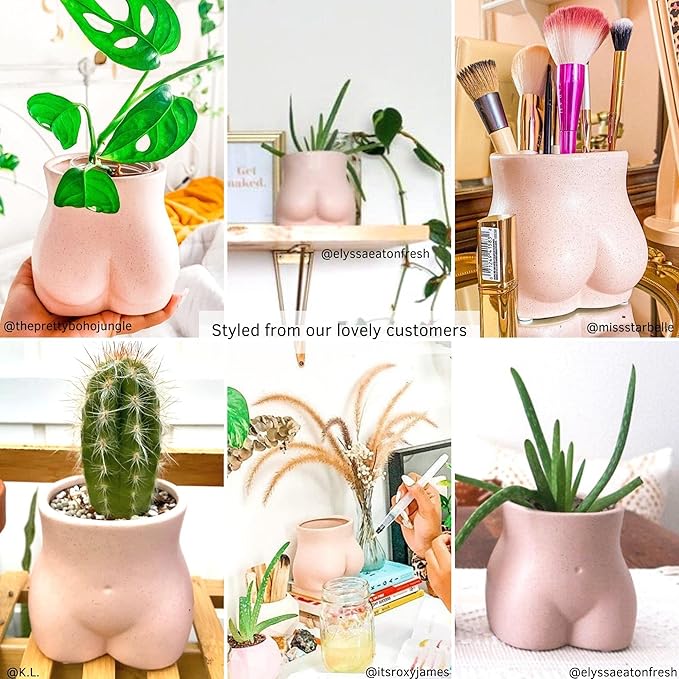 BASE ROOTS Plant Pot Ceramic Planter Vase with Drainage for Succulents, Cactus, Flowers - Ideal for Boho Indoor & Outdoor Garden, Aesthetic Living Room, Bedroom, Desk Organizer Decor & Gift Idea