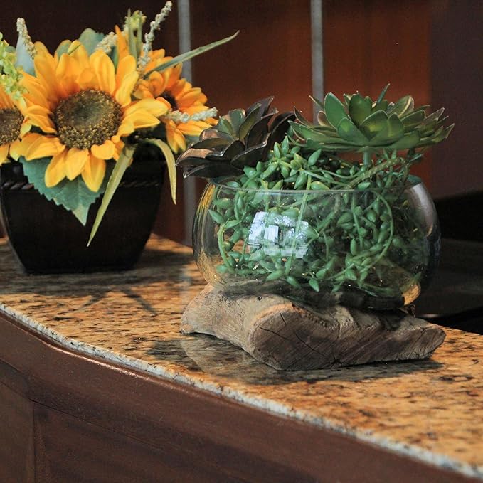 Medium Wide Mouth Molten Glass on Teak Driftwood Decorative Sculptural Bowl, Vase, and Terrarium Planter - Approximately 5 Inches High