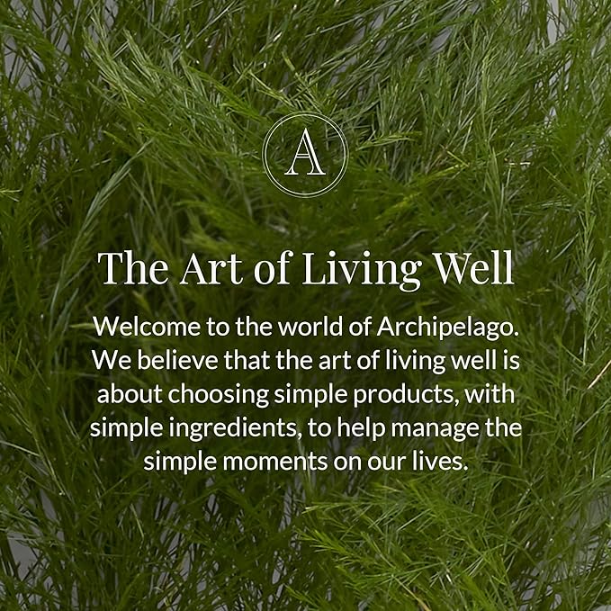 Archipelago Botanicals Black Forest Reed Diffuser Oil Refill, Home Fragrance Oil for Diffuser, Long-Lasting Natural Home Fragrance, Diffuser Oil Scents, 7.85 Fl Oz