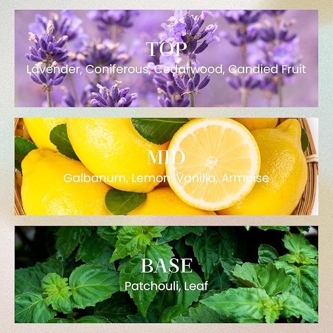 M&SENSE 10.14 oz Large Reed Diffuser | Magical Oriental Scent Oil Diffuser with Sticks |Long Lasting Non-Toxic Essential Oil |Reed Diffuser for Bathroom Shelf Decor