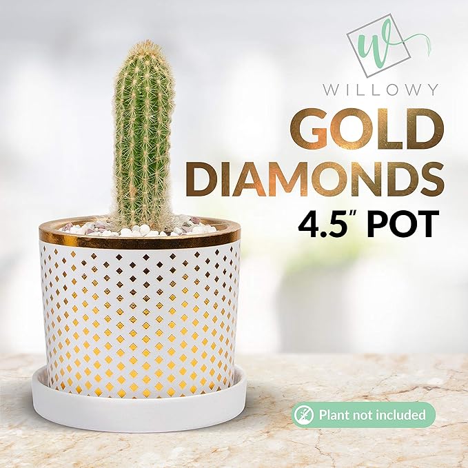 Willowy White and Metallic Gold Pot Bundle - 6 Inch and 4.5 Inch pots - Includes Saucers, Drainage Plugs, and Decorative Pebbles