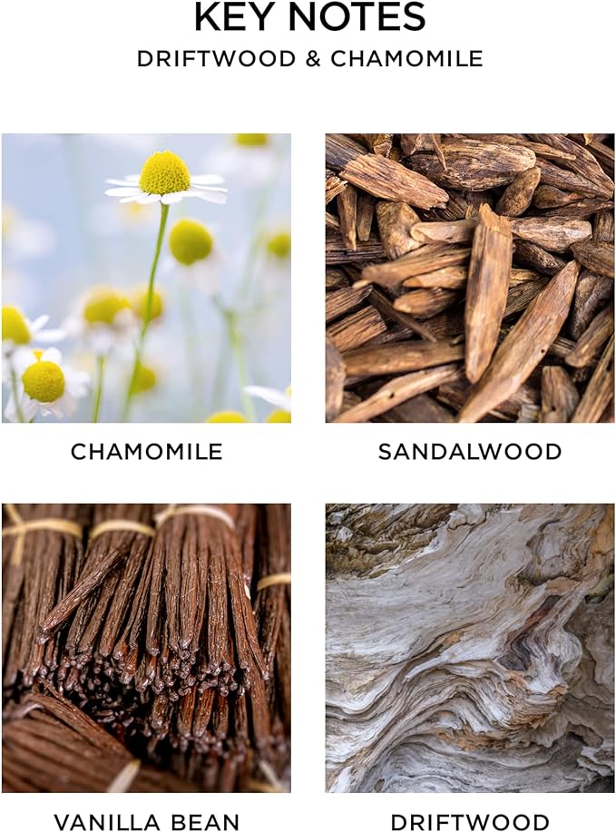 NEST New York Reed Diffuser, Driftwood & Chamomile - 5.9 fl oz - Fragrance for Up to 90 Days - Reusable, Refillable Glass Holder - Includes 8 All-Natural Reed Sticks - Flame Free