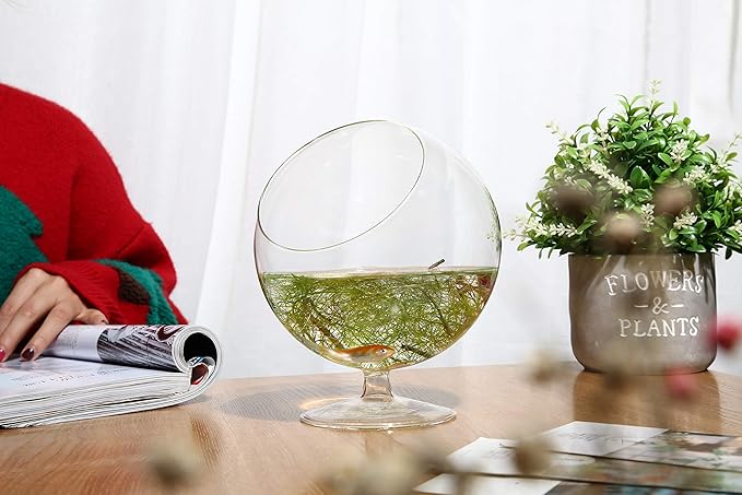 WGV Planter Terrarium with Stand, Ball Diameter 5" Height 6", Clear Glass Floral Container Vase, DIY Succulents Outdoor Garden Home Office Decor Slant Cut Orb, 1 Piece