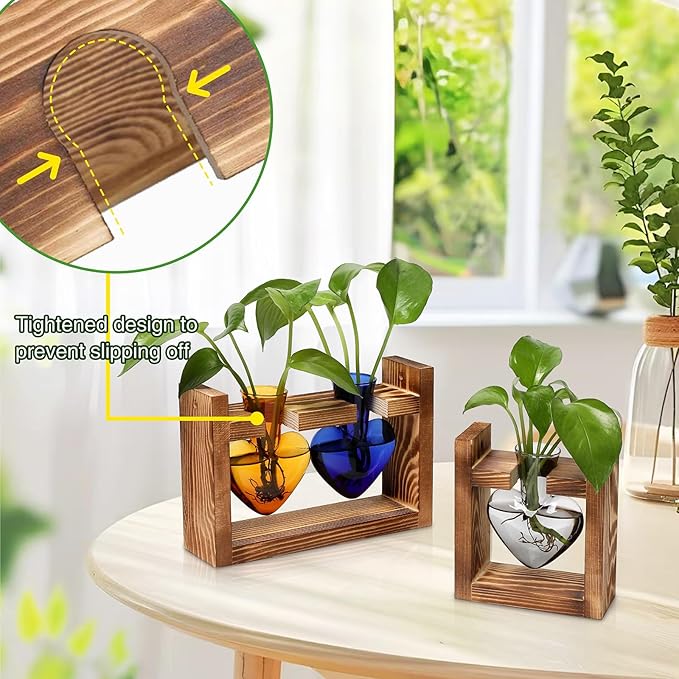 2+1 Plant Terrarium Plant Propagation Station Birthday Gifts for Women Plant Lovers Home Office Decor with Wooden Stand