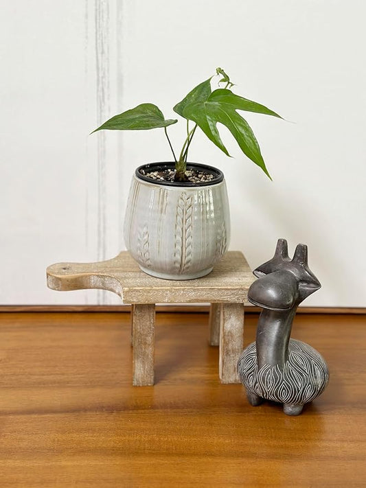 Admired by Nature 4.5" Ceramic Flower Planter, Ceramic Pot Planter, Indoor Ceramic Bowl, Houseplant Ceramic Pot, Decorative Planter for Indoor Plant Succulent Plant Home Décor, Lightweight, Lt.Blue