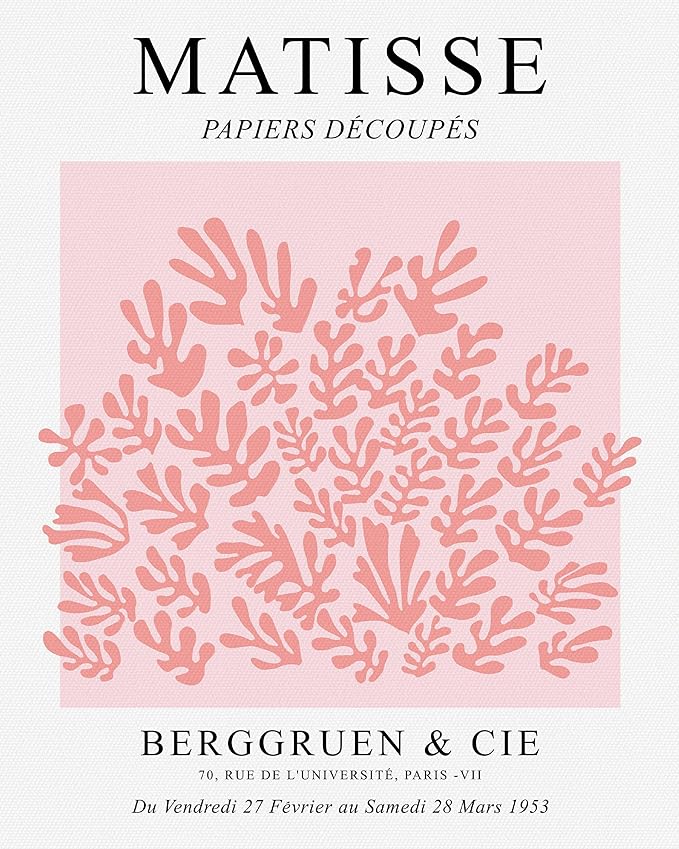 HesenDot Matisse Art wall Décor Set of 3,Unframed Blush & Salmon Pink wall art,Truly Quality Canvas Prints for 12x16in,Art poster decoration for kitchen, bathroom,living room,bedroom