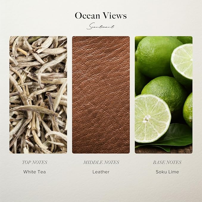 Ocean Views Hotel Diffuser Oil | Aromatherapy Home Fragrance | Inspired by Confidante® Andaz Miami Beach | Luxurious Scent with Notes of White Tea, Leather, Soku Lime (120 mL)