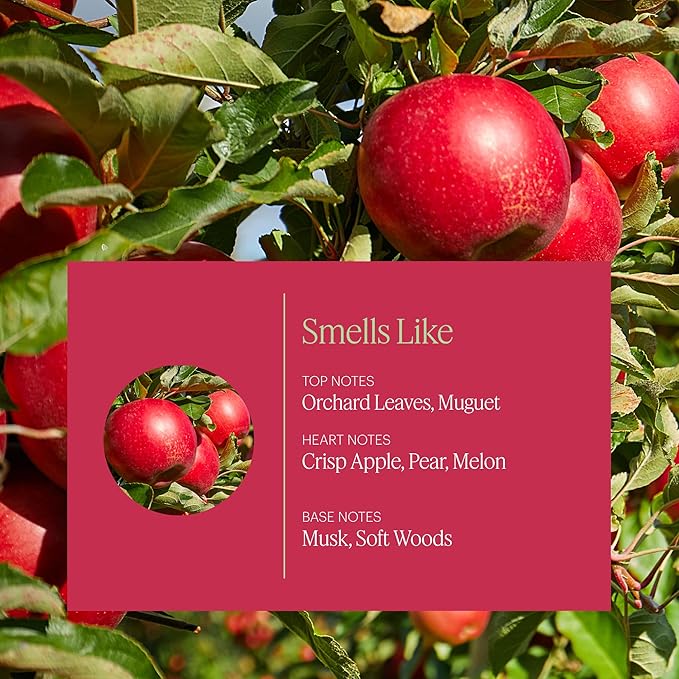 AERA Apple Orchard - Essential Oil for Home - Fruity Crisp Fragrance - Notes of Macintosh Apple and Orchard Leaves - Scent Refill - Capsule Size Works with Mini Diffuser