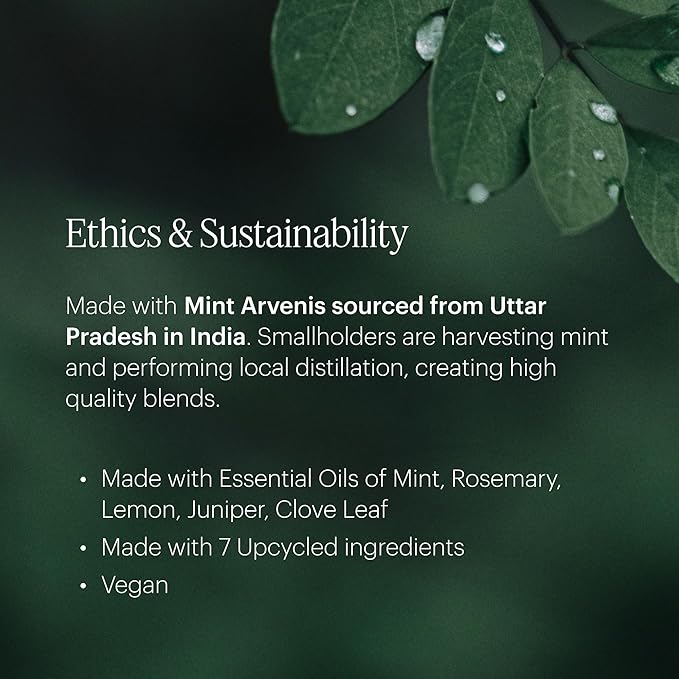 Aera Spa La La Home Fragrance Scent Refill - Notes of Peppermint and Rosemary - Works with The Aera Diffuser