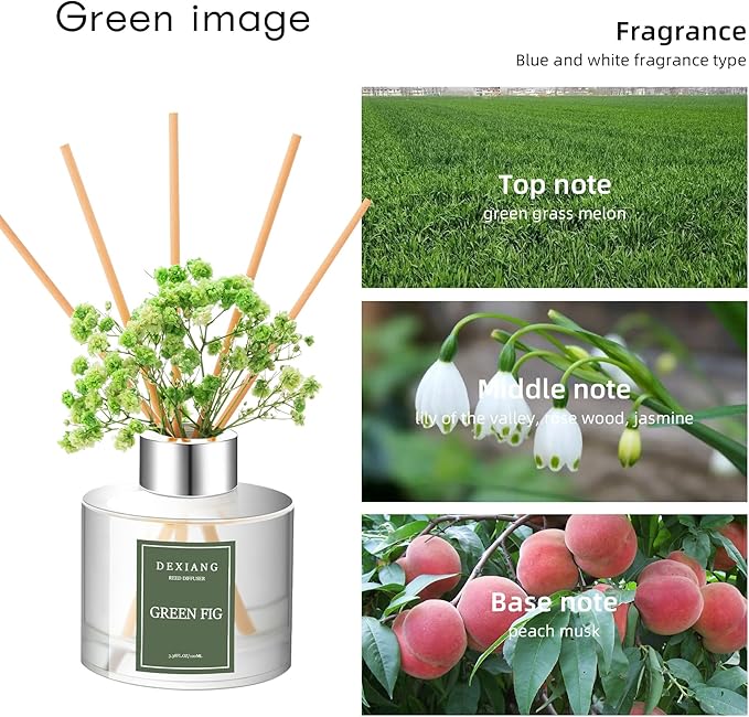 Green Picture Reed Diffuser Set - 3.38 fl oz (100ml) Essential Oil with 6 Reed Sticks | Home & Bathroom Decor