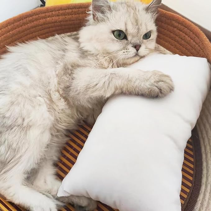 BEDSUM 2 Pack Pillows, 13"x18" Microfiber Pillows for Travel, Pets, Soft and Machine Washable Small Pillows for Neck, Wrist, and Knee Comfort, Pink