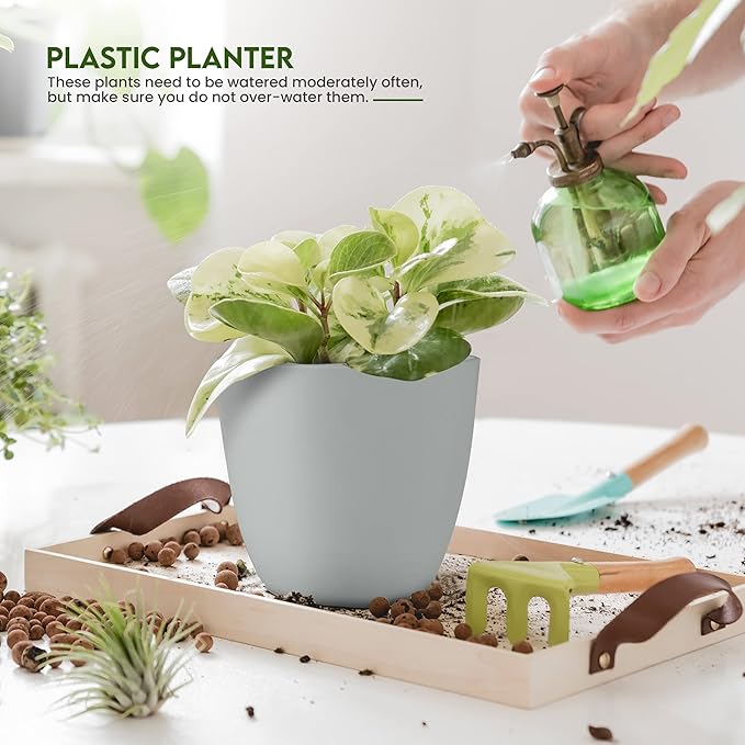 Utopia Home - Plant Pots Indoor with Drainage - 7/6.6/6/5.3/4.8 Inches Home Decor Flower Pots - Pack of 10 Plastic Planters for Indoor Plants, Cactus, Succulents Pot - Grey