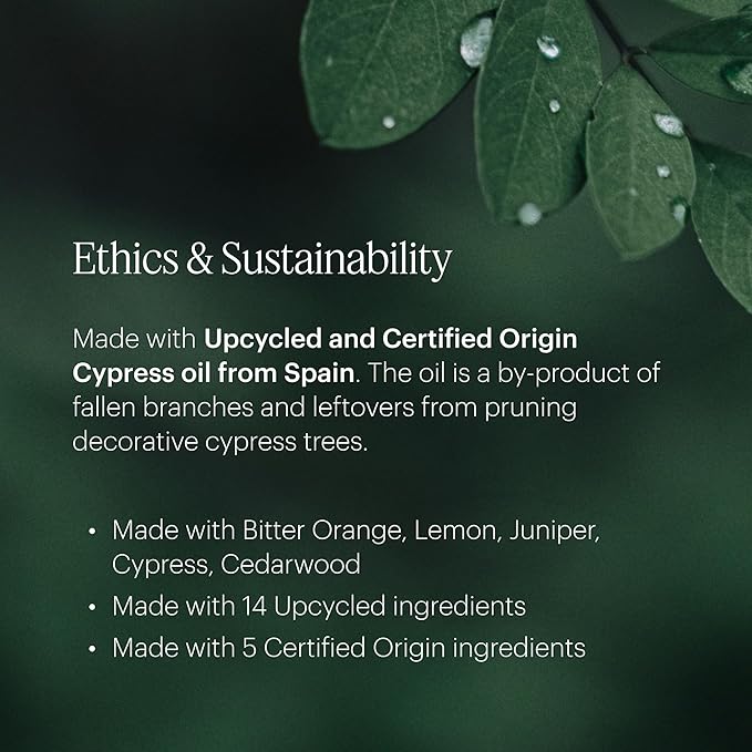 AERA Mini Sandalwood - Essential Oil for Home - Inspiring Calm Fragrance - Notes of Sandalwood, Balsam and Oud - Scent Refill - Capsule Size Works with Mini Diffuser