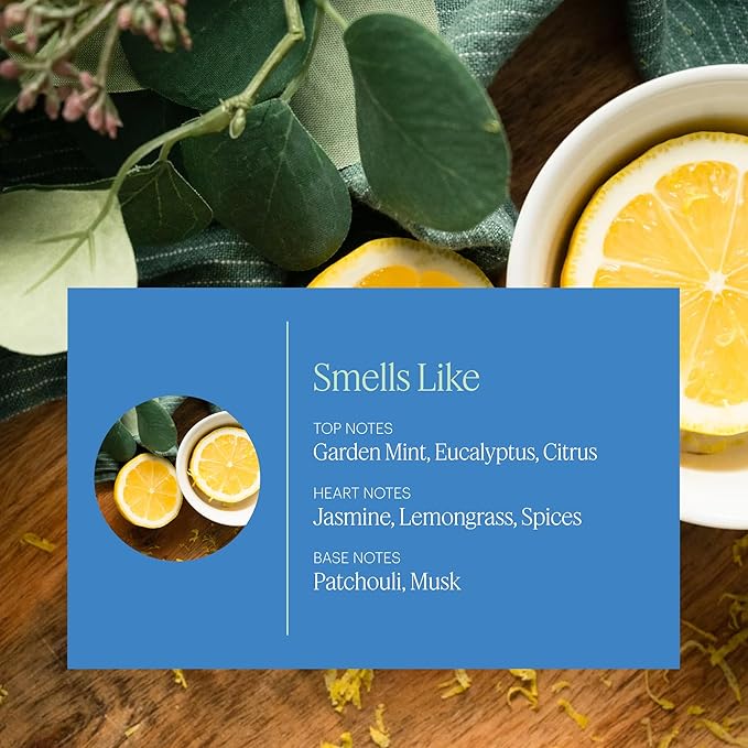 AERA Good Riddance Cooking Odor - Essential Oil for Home - Deodorizing Aromatic Garden Fragrance - Notes of Garden Mint, Citrus and Eucalyptus - Scent Refill - Works with The Diffuser