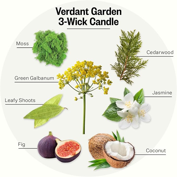 APOTHEKE Verdant Garden Scented Candles for Home - Aromatherapy 3-Wick Jar Candle with Soy Wax Blend - Long-Lasting Scent with Natural Essential & Perfume-Grade Oils