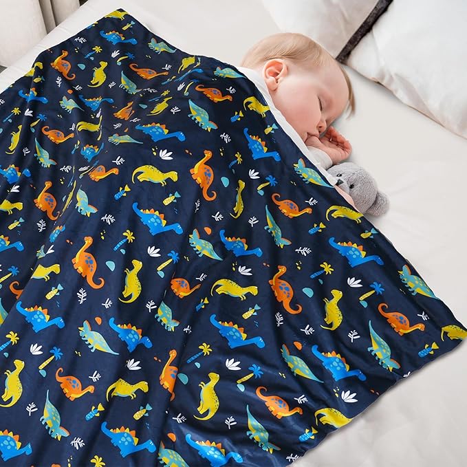 Minky Baby Blanket for Boys, Soft Lightweight Micro Fleece Blanket with Double Layer, Dotted Backing, Breathable Receiving Blanket for Newborns, 30x40 Inches, Dinosaur