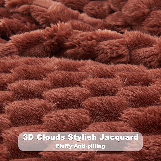 NEWCOSPLAY Super Soft Twin Blanket Coffee Premium Silky Flannel Fleece 3D Clouds Stylish Jacquard Lightweight Bed Blanket All Season Use 350GSM (Coffee, Twin(60"x80"))