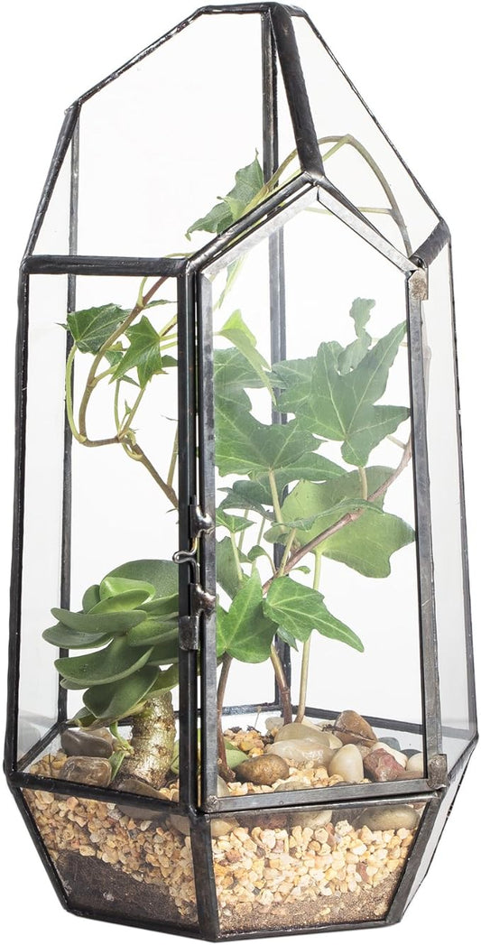 NCYP Small 5.1" x 5.1" x 8.66" Irregular Geometric Glass Terrarium Planter with Door - Home Tabletop Display Container Pot for Succulents, Cacti - Indoor Clear Decor, Black (No Plants)