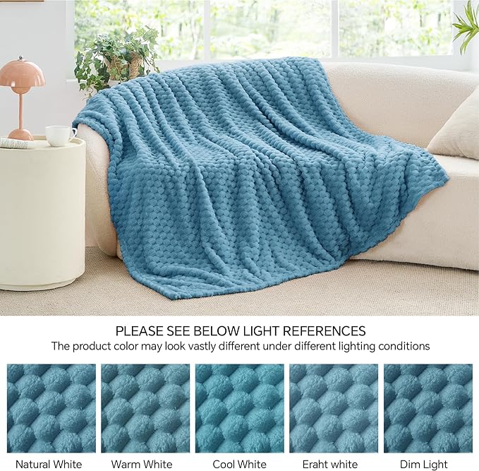 BEDELITE Fleece Blanket Twin for Bed Couch, 3D Jacquard Decorative Blue Throw, Soft Cozy Warm Plush Fuzzy, 60x80Inches