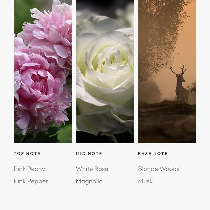 Aroma360 Timeless 500mL