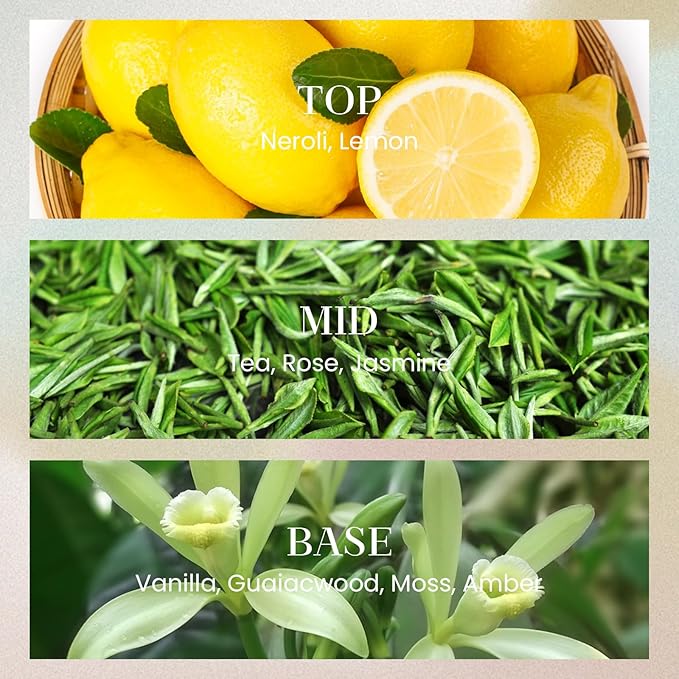 M&SENSE 10.14 oz Large Reed Diffuser | Neroli Noir Scent Oil Diffuser with Sticks | Long Lasting Non-Toxic Essential Oil |Reed Diffuser for Bathroom Shelf Decor