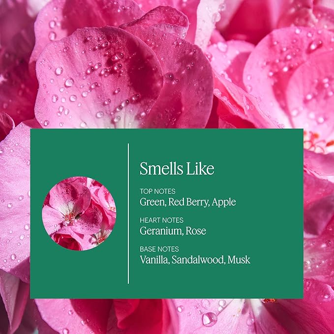 AERA Home Hygiene Geranium - Essential Oil for Home - Soft Pink Petal Fragrance - Geranium, Palmarosa and Clove Essential Oils - Scent Refill - Works with The Diffuser