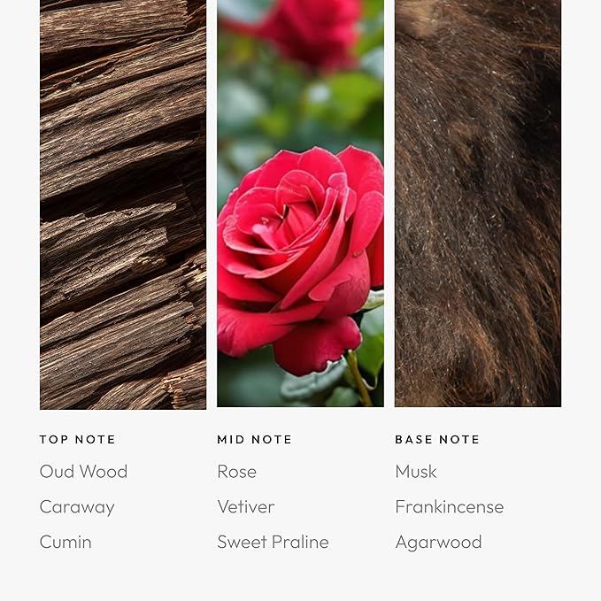 Aroma360 Desert Rose 500mL