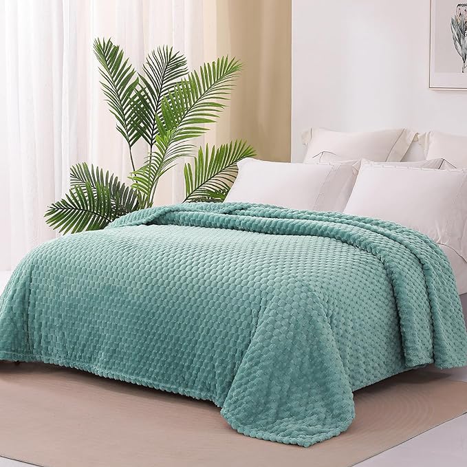 Exclusivo Mezcla Queen Size Soft Fleece Blanket, 90x90 Inches Stylish Jacquard Velvet Blanket for Bed, Fuzzy Cozy Lightweight for All Season, Celadon