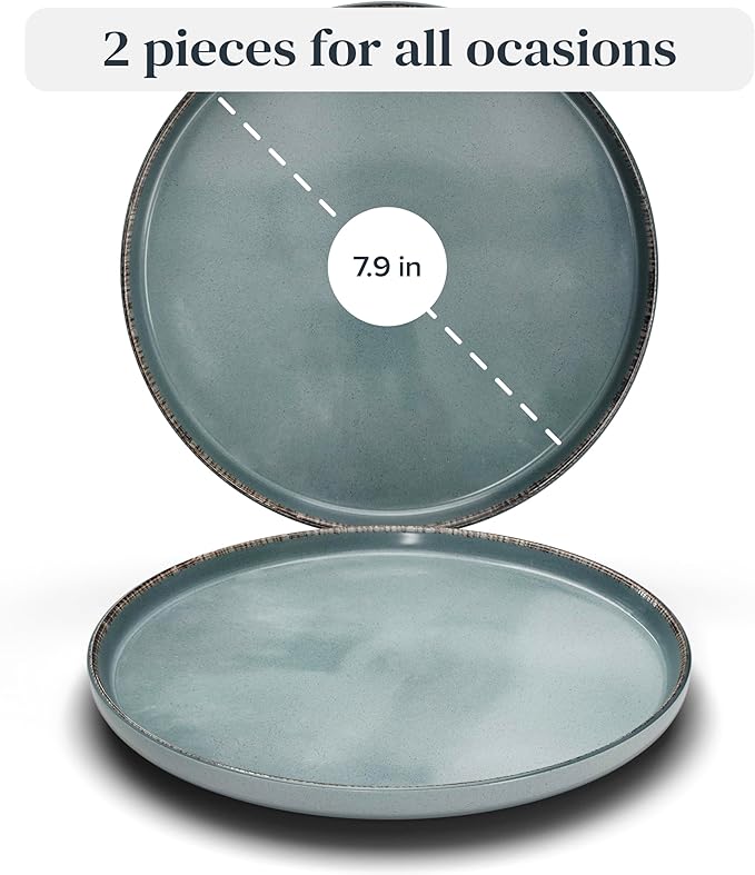 Stoneware Small Dinner Plates Set of 2, Modern Rustic -Style Stoneware , 7.9"" Ceramic Plates , Dishwasher, Microwave Safe Dinner Plates, Stoneware Plates, Kitchen Plates-Rustic Blue, Large