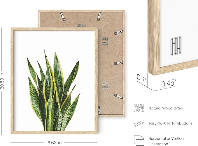 HAUS AND HUES Plant Photo Set of 4-16x20 Framed Beige