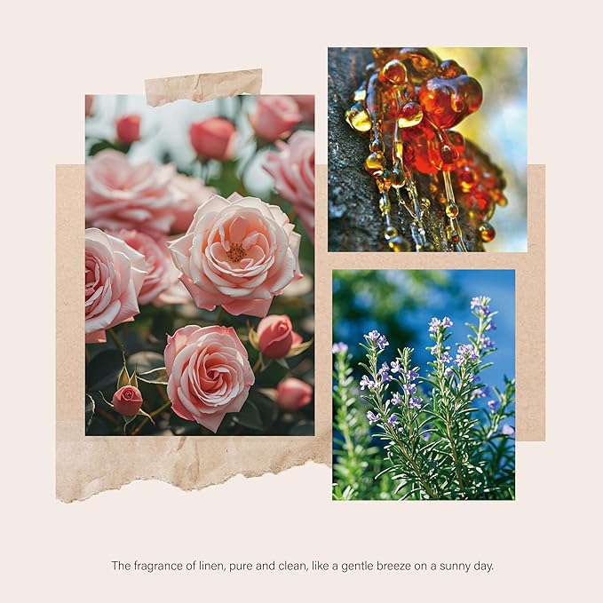 Reed Diffusers Set, 7.10 oz Rose Water Scented Diffuser with 7 Sticks, Long Lasting Home Fragrance for 120 Days, Perfect for Bathroom, Shelf Decor, Air Fresheners