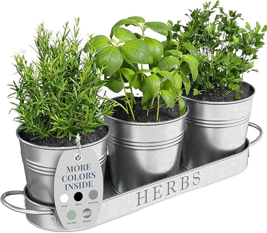 Barnyard Designs Indoor Herb Garden Planter Set with Tray, Metal Windowsill Plant Pots with Drainage for Outdoor or Indoor Plants, Set/3 (Galvanized)