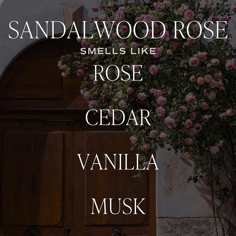 Sweet Water Decor Sandalwood Rose Reed Diffuser – Room Decor Aesthetic with Long-Lasting Premium Fragrance of Green, Leafy, Winey, Rose, Guaiac Wood, and Musk for 4 Months – Ideal for Home Decor