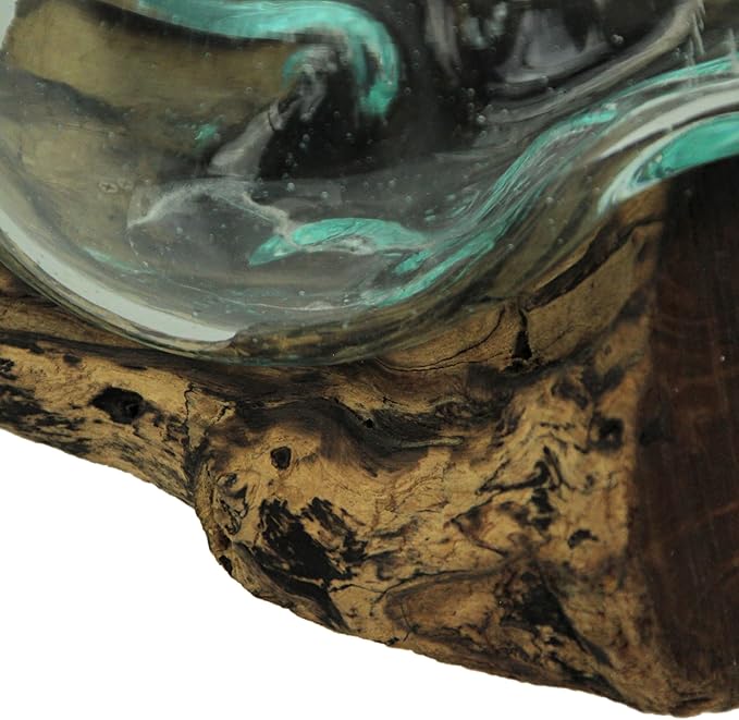 Medium Wide Mouth Molten Glass on Teak Driftwood Decorative Sculptural Bowl, Vase, and Terrarium Planter - Approximately 5 Inches High