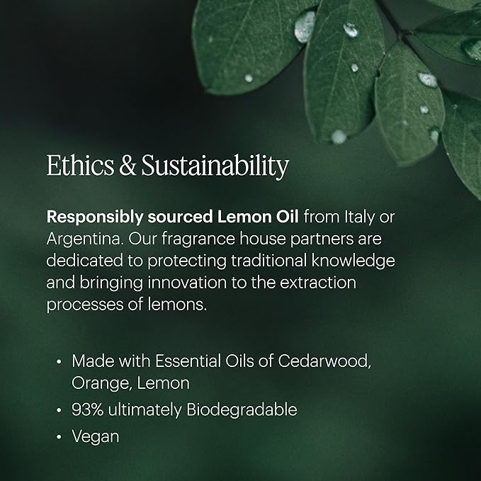 AERA Mini Lime Twist - Essential Oil for Home - Cheerful and Refreshing Fragrance -Notes of Frosty Lime and Ginger- Scent Refill - Capsule Size Works with Mini Diffuser