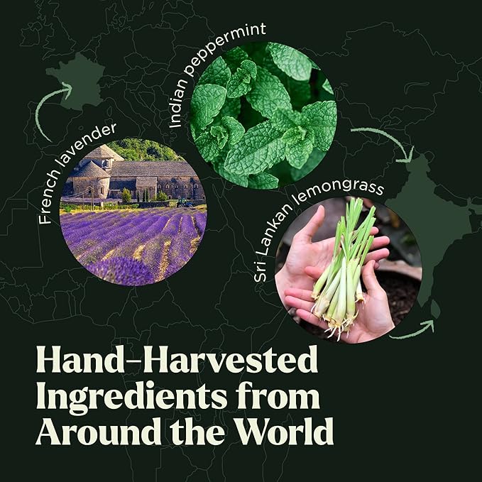 Essential Oils Set - 10pc Aromatherapy Oil in Portable Bag - Diffusers, Humidifiers, Yoga, DIY Cleaning Products, Candle Making - Peppermint, Tea Tree, Lavender, Eucalyptus, Lemongrass (10mL)