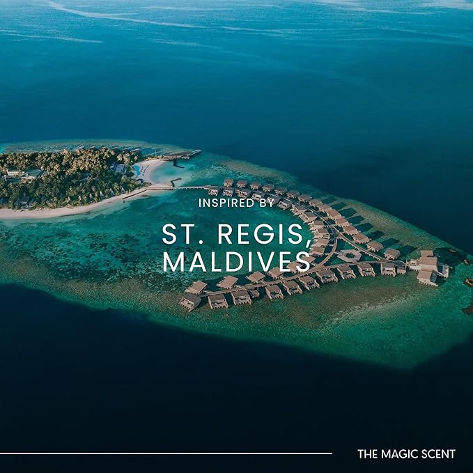 Mandarin Blossom Oils for Diffuser - HVAC, Cold-Air, & Ultrasonic Diffuser Oil Inspired by St. Regis Hotel, Maldives - Essential Oils for Diffusers Aromatherapy - 4 fl oz, 120 mL