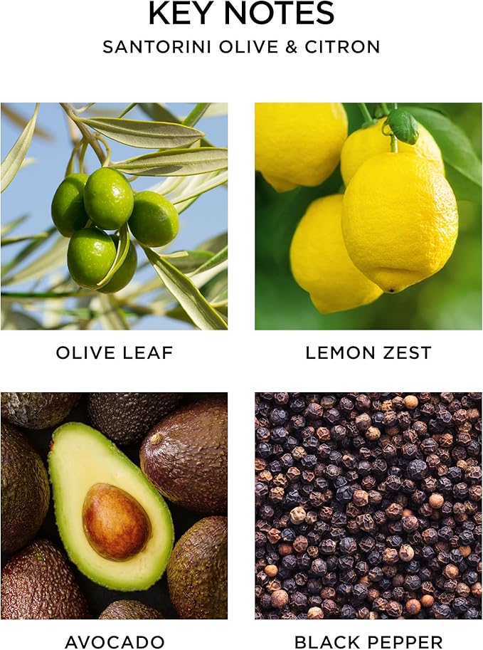 NEST New York Reed Diffuser, Santorini Olive & Citron - 5.9 fl oz - Fragrance for Up to 90 Days - Reusable, Refillable Glass Holder - Includes 8 All-Natural Reed Sticks - Flame Free