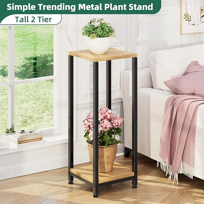 Simple Trending Plant Stand Indoor Corner Tall 2 Tier Metal Modern Flower Plant Shelf Holder, Heavy Duty Wood Storage Stand 2 Tier Black