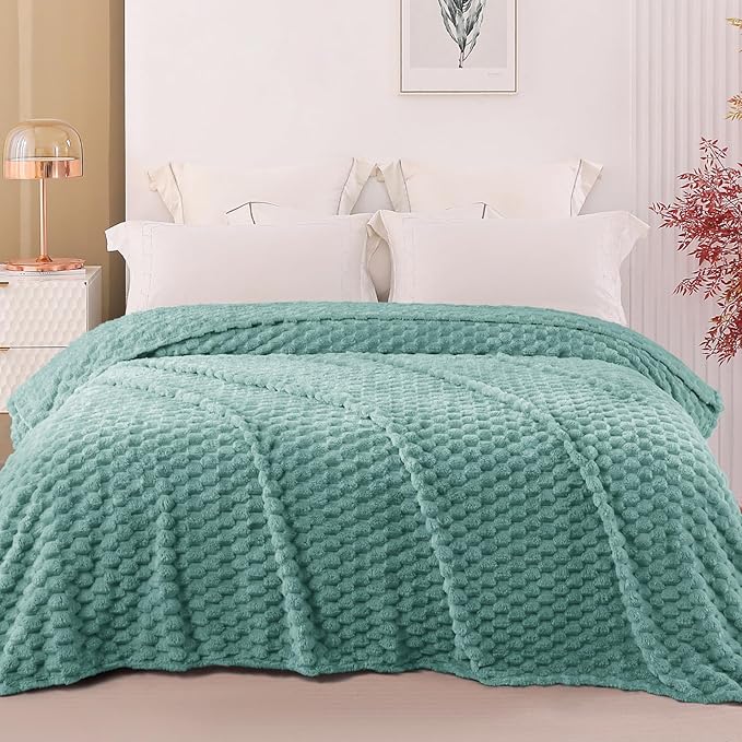 Exclusivo Mezcla Queen Size Soft Fleece Blanket, 90x90 Inches Stylish Jacquard Velvet Blanket for Bed, Fuzzy Cozy Lightweight for All Season, Celadon