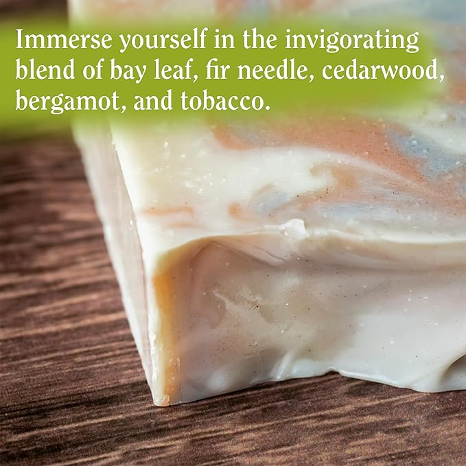 Compass Soap The Journey | Natural Bar Soap for Men & Women | Body & Face Soap Bar for Women and Men | Minimalist & Gentle Lather | Natural Bath Soap, Paraben & Phthalate Free | 5 oz, Pack of 2