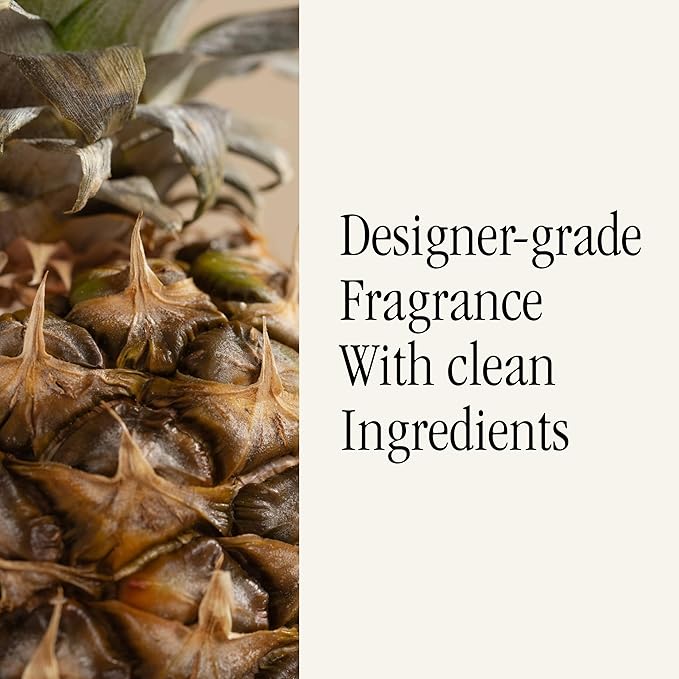 Pura & Tommy Bahama Home Scent Refill - Smart Home Air Diffuser - Up to 120-Hours of Premium Fragrance per Refill - Household Essential - Diffuser Fragrance - 2 Pack, Pineapple Cilantro