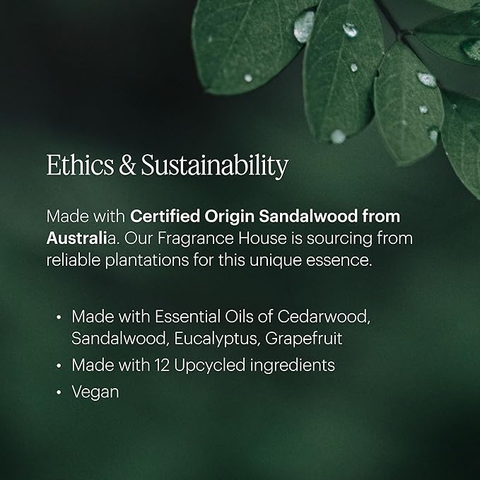 AERA Palo Santo - Essential Oil for Home - Purifying and Cleansing Fragrance - Notes of Palo Santo, Juniper and Peru Balsam - Scent Refill - Works with The Diffuser