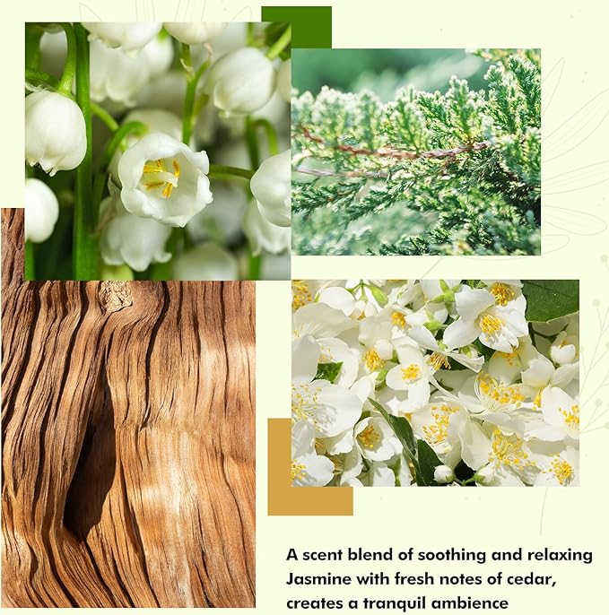 Reed Diffuser Set- Jasmine & Lily Scented Diffuser with 6 Rattan Sticks, Long Lasting Reed Diffusers for Home Bathroom Shelf Decor-3.7oz